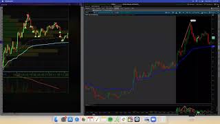 What Is The Discipline Workshop & How It Can Help Your Trading | Webinar w/ Steven & Tosh*